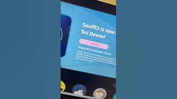 CLAIM YOUR FREE SUI NFT | AIRDROP CHANCE ON SUI #crypto #airdrop #sui