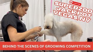 BEHIND THE SCENES OF JACKPOT GROOMING COMPETITION IN VEGAS 2023 by Pawz & All 562 views 7 months ago 7 minutes, 25 seconds