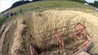 moisson 2015 avec une Massey Ferguson 892 de 1959