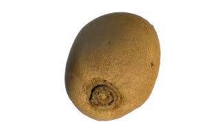 8k Kiwi scanned 3d model