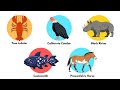 Animals That Brought Back From Extinction - Part 1