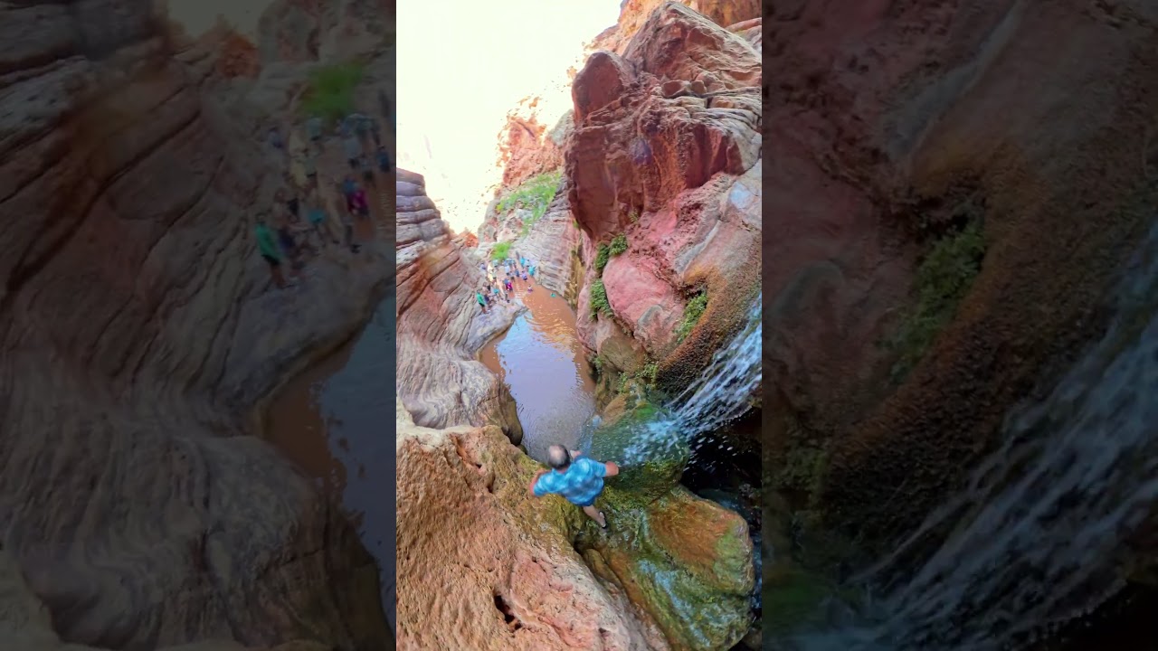 Book your 2026 Spot! 