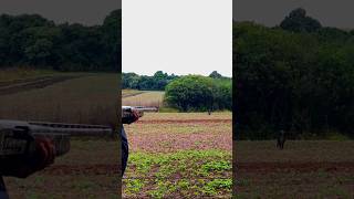 Охота на дикого кабана 🐗 | Адреналин и трофей! #кабан #охотанакабана #охотник #охотавидео #охота2025