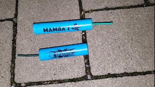 Mamba 2 VS Ps2 Shark