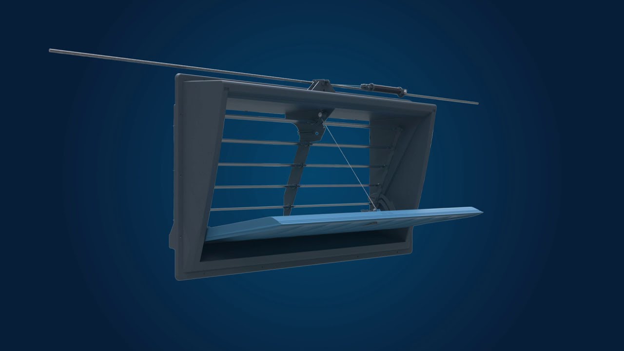 Skov video thumbnail