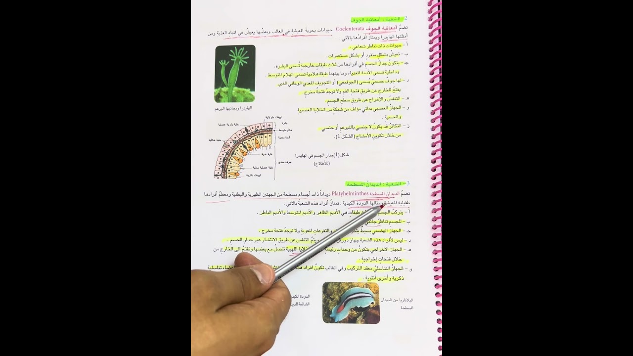 احياء الثاني المتوسط اللافقريات صفحة ٥٦-٥٧-٥٨-٥٩ وحل اسئلة صفحة ٦٠