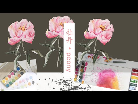 Drawing Learn To Draw A Peony 画牡丹 Dessiner Une Pivoine Youtube