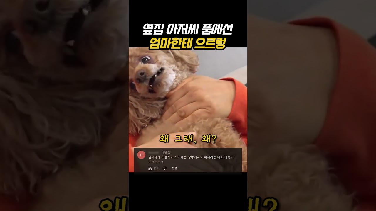옆집 아저씨 품에선 엄마한테 으르렁