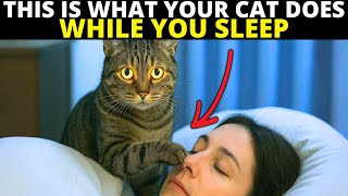 The Strange Thing Your Cat Does Because of You Every Night
