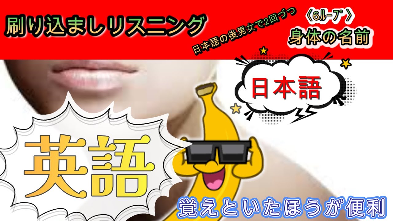 覚えておきたいシリーズ1 身体の名前 Body Name 英語 English 男女ボイス Man And Woman Voice 聞き流しリスニング Listening 6ループ Loop Youtube