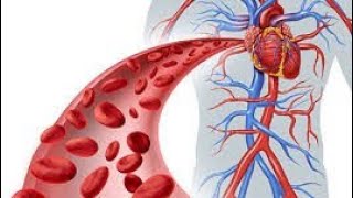 🎧BLOOD CIRCULATION, PURIFICATION & CLEANSING FORMULA - Subliminal Frequency Pure Monaural Beats