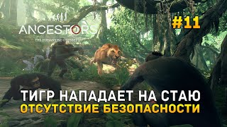 Тигр нападает на стаю. Отсутствие безопасности - Ancestors #11 Тигр нападает на стаю. Отсутствие безопасности - Ancestors #11