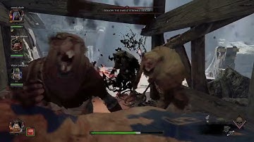 Warhammer: Vermintide 2 This game is top tier class amazing