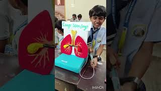 Science exhibition.. Lungs working 😍plz subscribe my channel# 😍🙏
