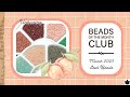 Seed Beads of the Month Club - March 2023