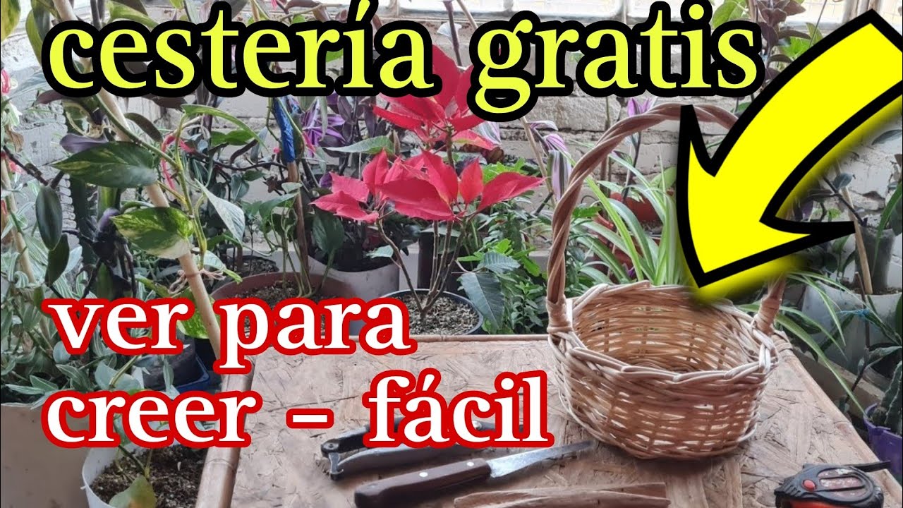COMO hacer CANASTA de MIMBRE. secretos del arte milenario. diy, artesanias, manualidades.