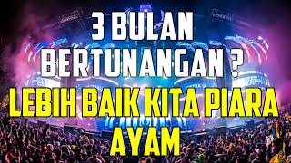 DJ TIGA BULAN BETUNANGAN  LEBIH BAIK KITA PIARA AYAM 2019