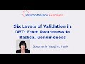 Six Levels of Validation [DBT Essentials]