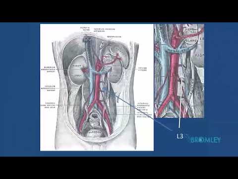 rcem primary - abdomen