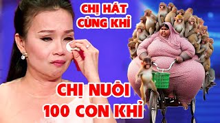 Cô Gái Hát Cùng 100 Con Khỉ Tại Trường Quay Khiến Trấn Thành Xúc Động Giúp 100 Triệu Thvl