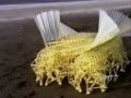 Theo Jansen&#39;s Strandbeests Monster Wind Machine • TED Talks #MysteryHunter