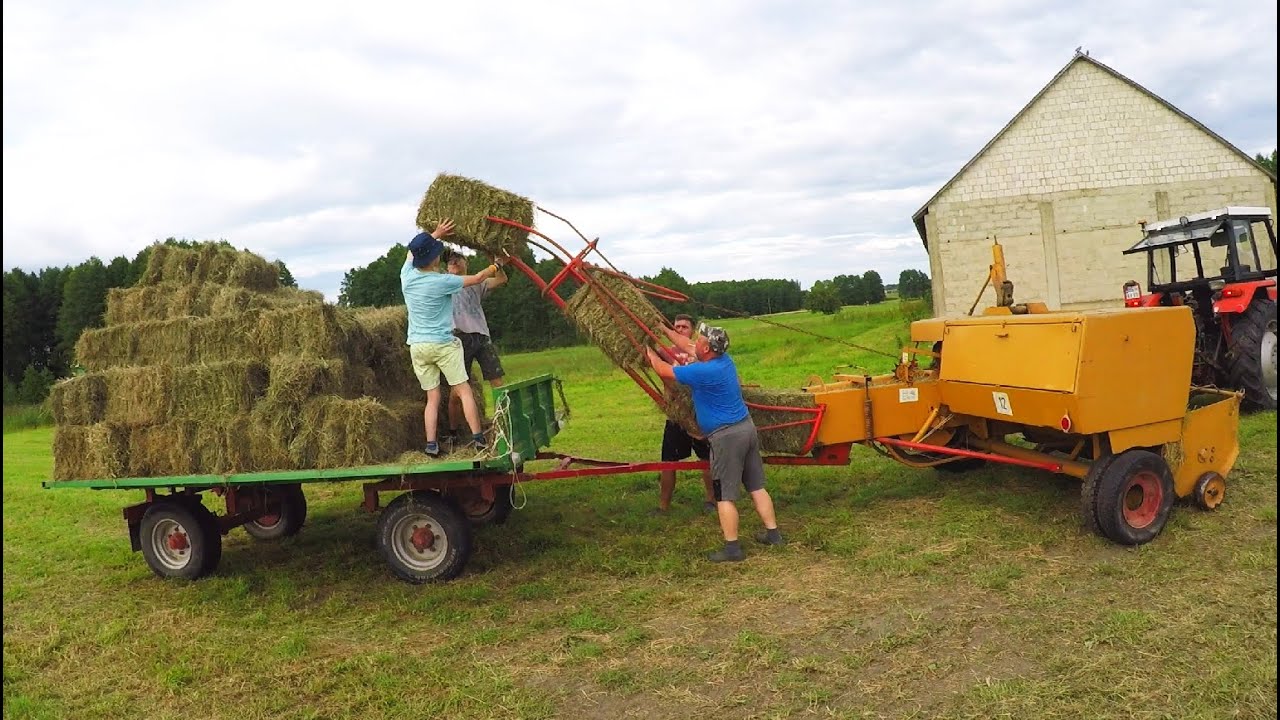 Kto jeszcze prasuje siano w kostki? / Sołtysowy reportaż / Prasa SIPMA Z-224 / Rolnicy Podlasie