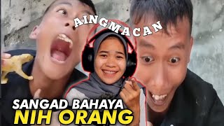 Kocakbocil Kem4Tian Reaction Kumpulan Video Lucu Asupan Meme Terbaru Full Ngakak