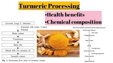 Turmeric. Food spices and condiments. ICAR NET FOOD SCIENCE AND TWCHNOLOGY