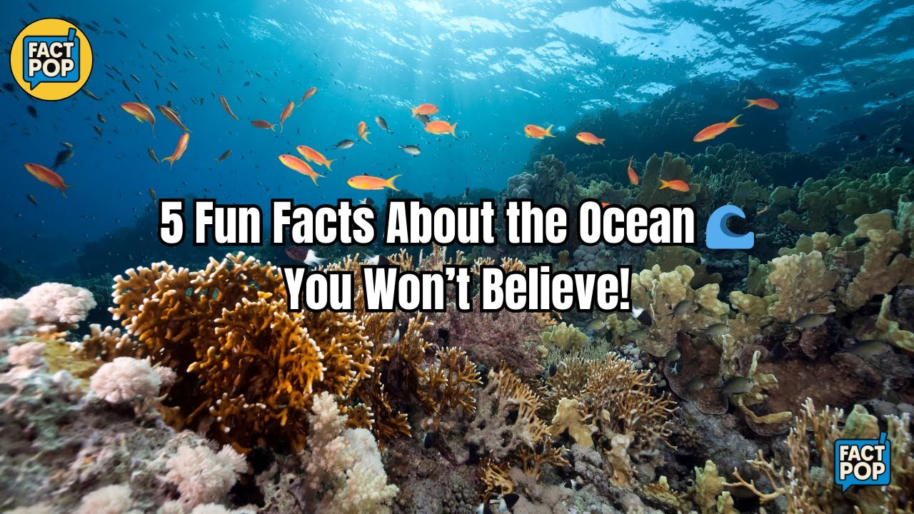 5 Fun Facts About the Ocean 🌊 You Won’t Believe! - YouTube