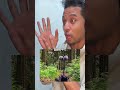 🐘【地球の神秘】数十年間消えた「ゴーストエレファント」衝撃の発見！カメラが捉えた幻の姿 #ゴーストエレファント #野生動物 #動物の不思議 #アフリカ#アフリカ