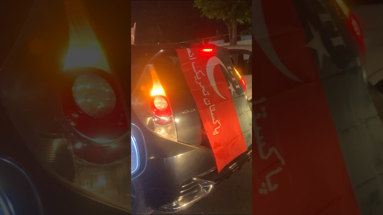 PTI flags on Independence Day 