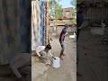 #funny #comedy🤣🤣 #video #viral #trending #shorts #videos