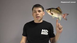 Как поймать Карася,5 способов ловли Крупных карасей. Как поймать Карася,5 способов ловли Крупных карасей.