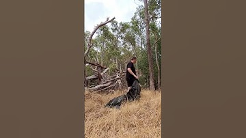 New knots learned for the ridge line and to keep the tarp taught!