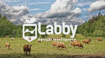 Labby Inc: Increasing efficiency of dairy farms