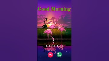 Thumbnail of Good morning birds ringtone #ringtone #fluteringtone #goodmorning