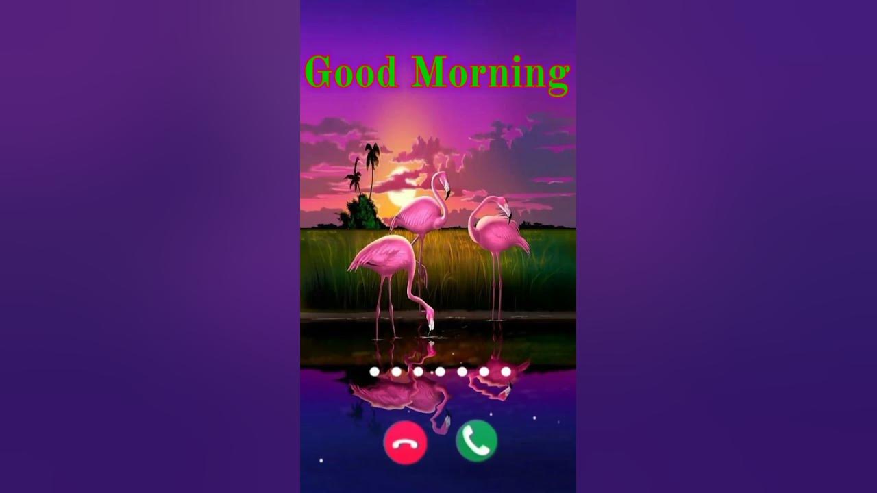 Good morning birds ringtone #ringtone #fluteringtone #goodmorning