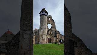 The Timeless Beauty of a Cistercian Monastery