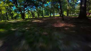 FPV Backyard Fly-Through | Poolside to the Pines