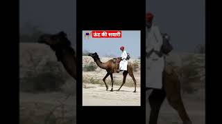 ऊंट की सवारी Rajasthan camel enjoy ll#short