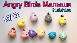 Angry birds Малыши Hatchies (ДеАгостини, 2019) - экспресс обзор, распаковка.