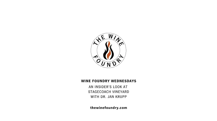 Wine Foundry Wednesday: Insider's look at Stagecoa...
