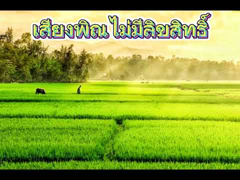 เสียงพิณฟรี #ไม่มีลิขสิทธิ์ #ถ้าชอบโหลดแล้วแชร์ให้ทางช่องด้วยนะครับ