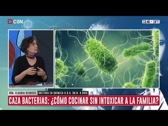 Trapos de cocina, el paraíso de las bacterias