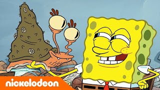 SpongeBob | SpongeBob vernielt de vuurtoren van mevrouw Puff | Nickelodeon Nederlands