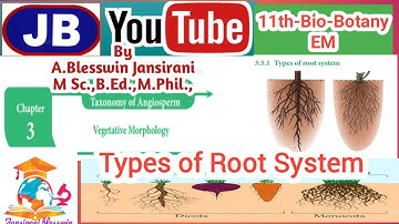 11th/Bio-Botany/3,Vegetative Morphology./Types of Root System