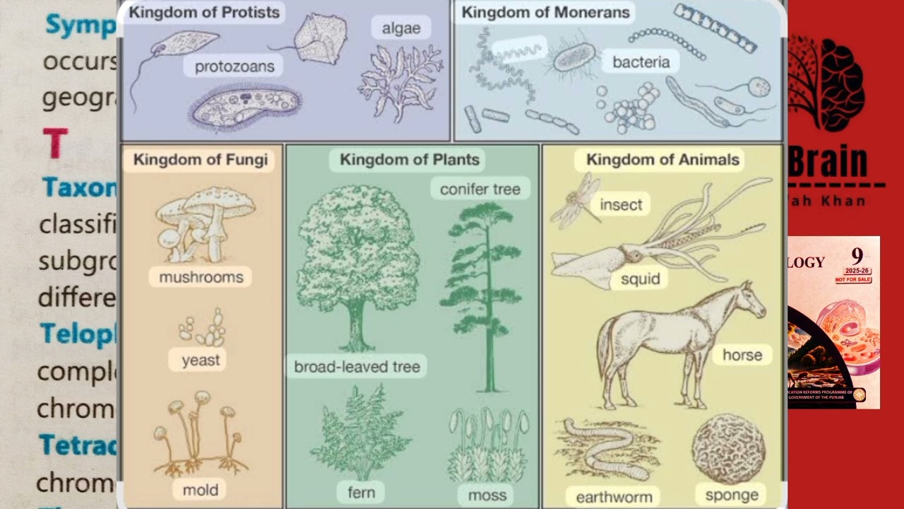 Sympatric speciation,Taxonomy,Telophase, Tetrade ||Definitions'Explanation ‎⁨@BioBrain_by_rafahkhan