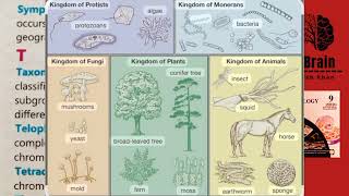 Sympatric speciation,Taxonomy,Telophase, Tetrade ||Definitions'Explanation @BioBrain_by_rafahkhan