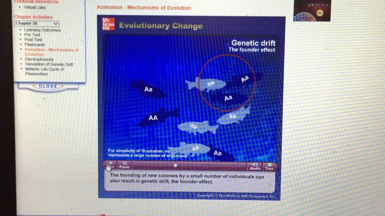 Factors that Affect Evolutionary Change - YouTube