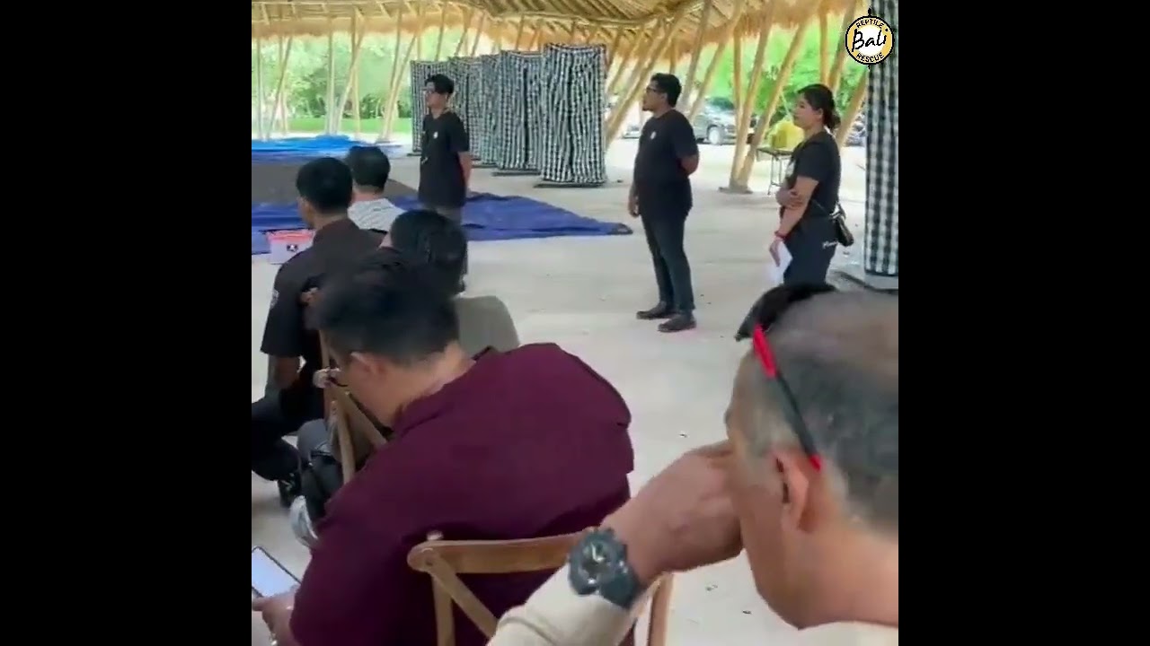 Part 2 on Tuesday 12 February 2024, - PT. Turtle Island Development - Bali Reptile Rescue -Education